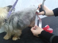 /album/fotogaleria/vnv-2013-03-19-13-26-32-jpg/